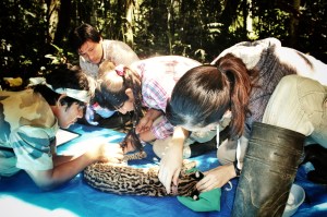 The team working on Nina